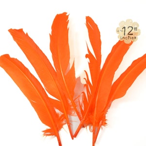 6pcs Turkey Wing Feathers both Right and Left wing, ORANGE - premium crafts and millinery supply