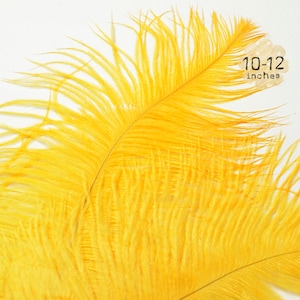 10 pz - MANGO - 10-12" pollici - pennacchi piuma di struzzo - tinti spicciolata piume