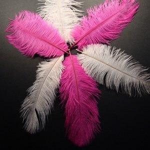 6 plumes d'autruche rose vif et rose layette. 7 pouces de hauteur.