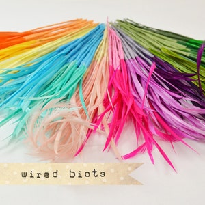 May include: A rainbow assortment of wired biots, a type of craft feather, arranged in a fan shape. The feathers are in various colors, including orange, yellow, blue, green, pink, and purple.