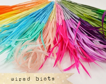 10 bundles - 25-30pcs - Goose Biots on Wire - could be curled - premium millinery supply, fishing supply, fly tying