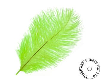 Ostrich Feathers - Wholesale Wedding Feathers Ostrich Drab Plumes - Lime Green - 10pcs (14-17")