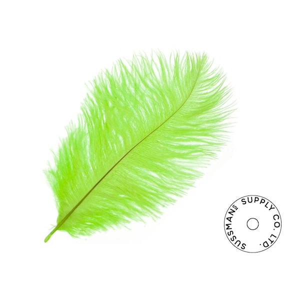 Ostrich plumes bulk sale