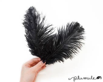 Ostrich Feathers black 10 to 12 inches long for Angela