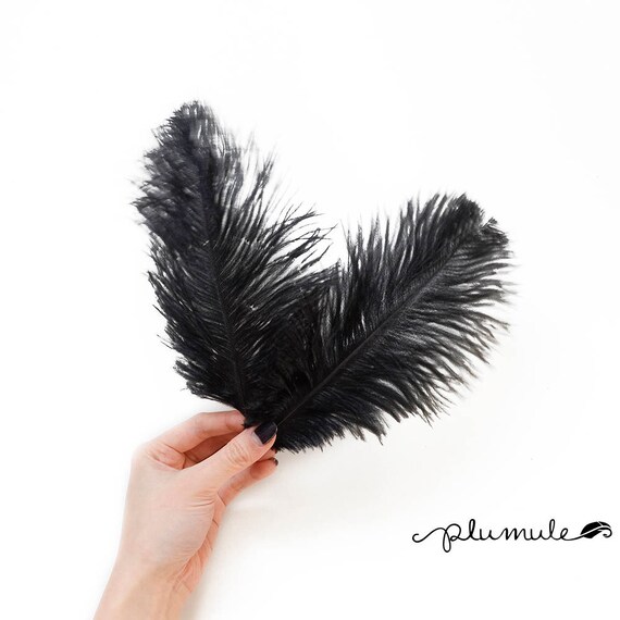 Ostrich Drab Feathers (Long)