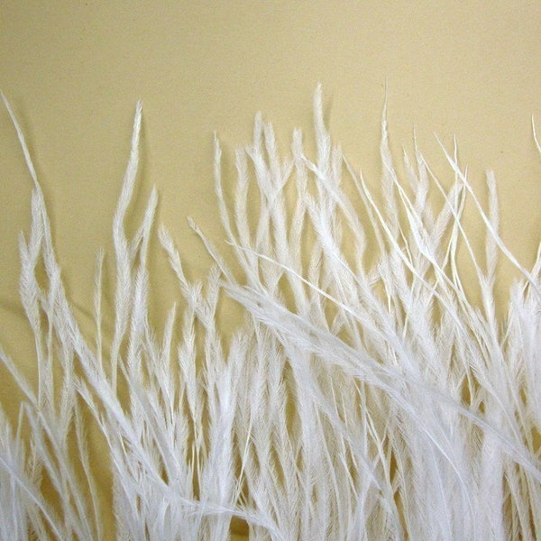 4 Inch Strip /Eggshell White / Ostrich Fringe Trim feather / Wedding, costume design...