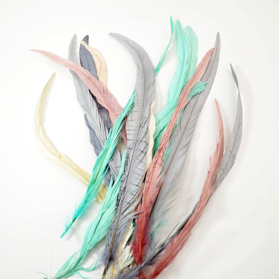 New Colors Summer 2014 Magnifica Rooster Tail Feathers Handpicked