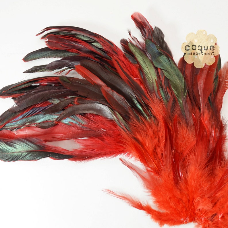 Piume Di Gallo Colorate - Confezione Da 25 Piume, 30.5-35.6cm, Per Costumi, Decorazioni E Artigianato - Foto 4