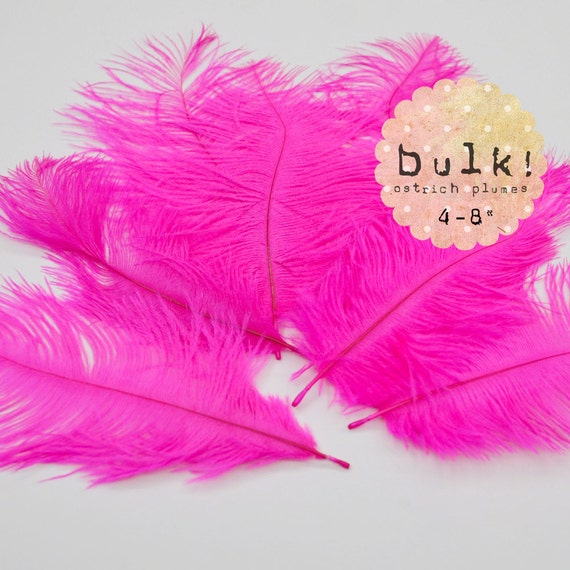 Ostrich plumes bulk wholesale discount