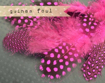 2 Dozen - HOT PINK Guinea Fowl plumages, millinery and craft, feather couture.