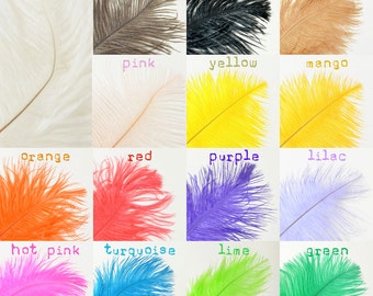 Ostrich Feather Plumes- 6-8" (10pcs)