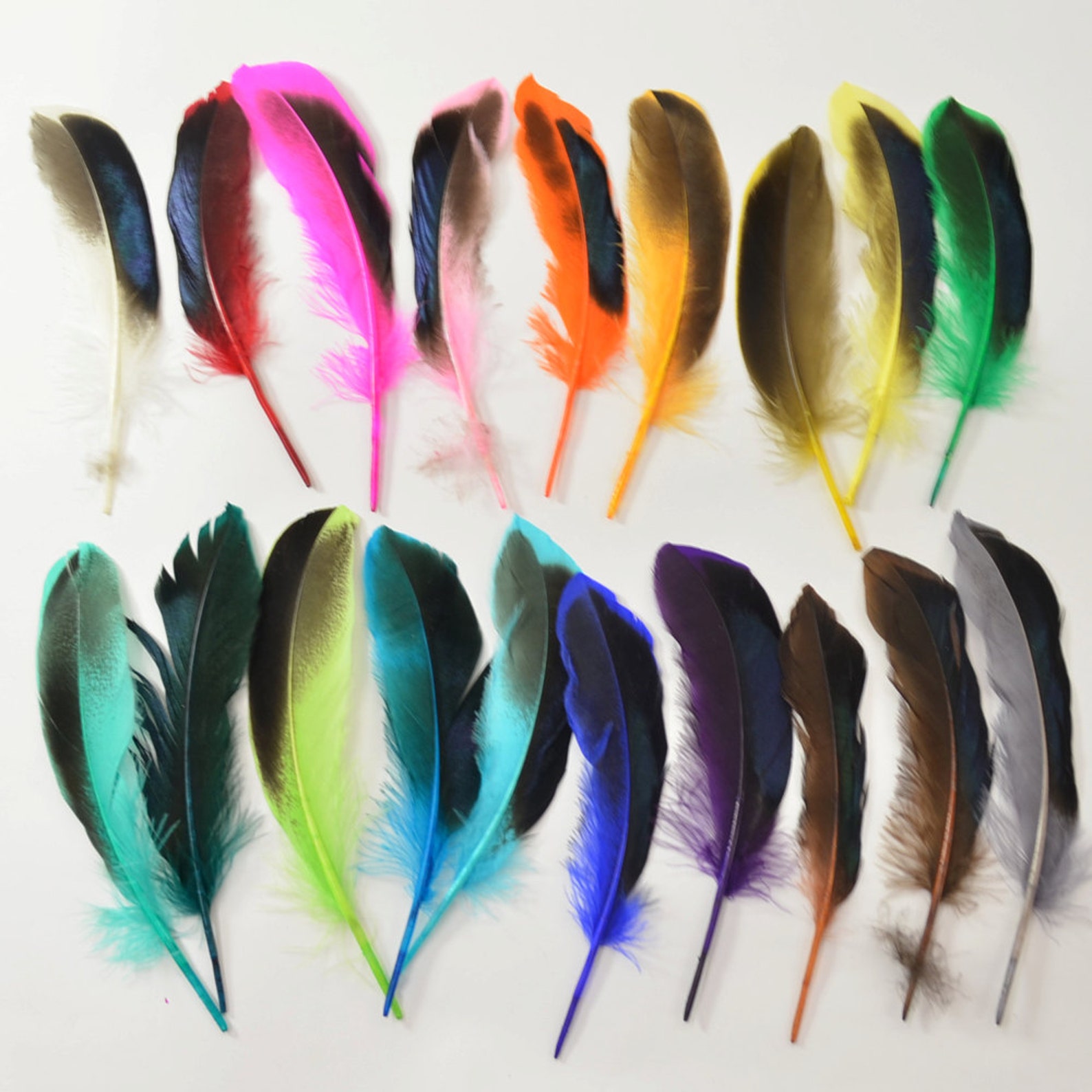 Mallard Feathers Iridescent Green Wing Kelly Green 10pcs - Etsy