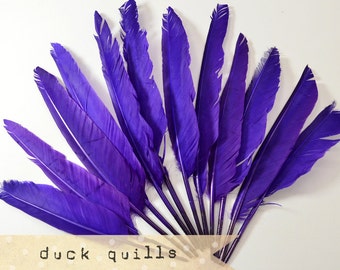 10pcs - PURPLE - Large Duck Quills - Stiff loose feathers