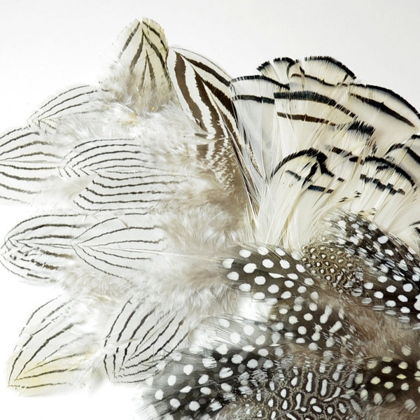 Natural MIX - Natural Silver Pheasant, Guinea Polkadot, Lady Amherst - premium millinery crafting supplies