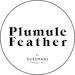 Owner of <a href='https://www.etsy.com/shop/PlumuleFeather?ref=l2-about-shopname&from_page=listing' class='wt-text-link'>PlumuleFeather</a>
