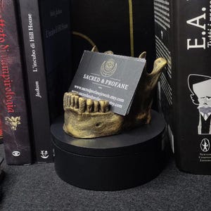 BUSINESS CARD HOLDER - office - desk - organizer - business cards - skull - business cards