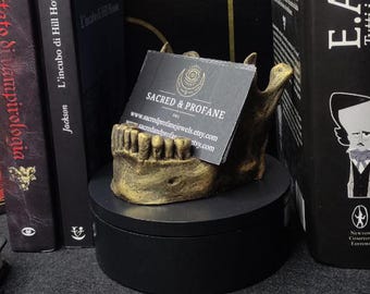 BUSINESS CARD HOLDER - office - desk - organizer - business cards - skull - business cards