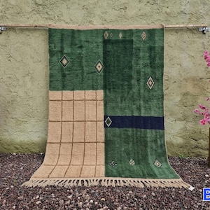 May include: A rectangular area rug featuring a split design with a beige grid pattern on the left and a deep green field on the right. The green section includes small diamond motifs, a horizontal dark blue stripe, and a fringed bottom edge.