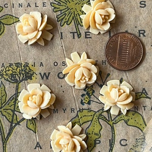 CREAM COLORED ROSE Japan 1950&#39;s Vintage Authentic CELLULOId 18mm