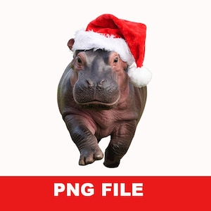 Moo Deng a baby pygmy hippo wearing a Santa Claus hat, smiling, and running happily