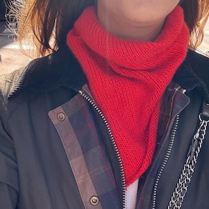 Può includere: Un collo a sciarpa lavorato a maglia rosso brillante è indossato sopra una camicia a quadri e una giacca verde scuro. La giacca ha un colletto in velluto a coste nero e una tracolla a catena argentata. La sciarpa è a tinta unita e sembra fatta a mano.