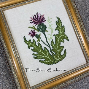May include: A framed cross-stitch embroidery featuring a purple and green thistle flower with the text "ThreeSheepStudio.com" at the bottom.