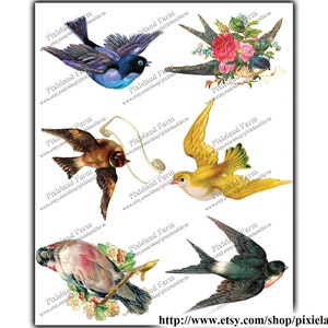 Victorian Birds Vintage Printable Digital Download - Etsy