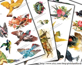 Victorian Birds Vintage Printable Digital Download