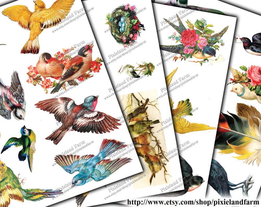 Victorian Birds Vintage Printable Digital Download - Etsy