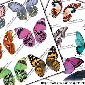 Fairy Wings clip art printable digital download