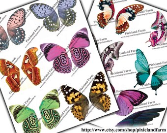 Fairy Wings clip art printable digital download