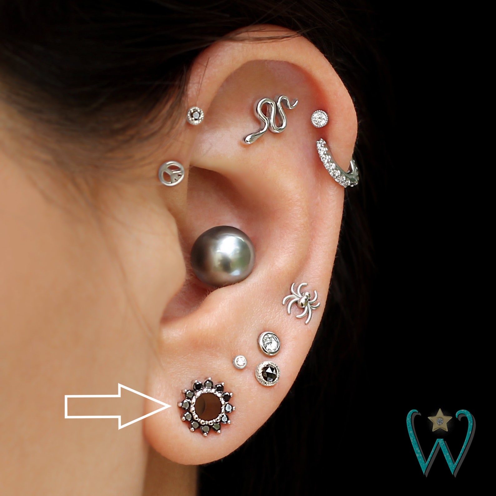 Black Diamond Halo Ear Tunnel 6g 4mm Ear Gauge Ear Plug Etsy