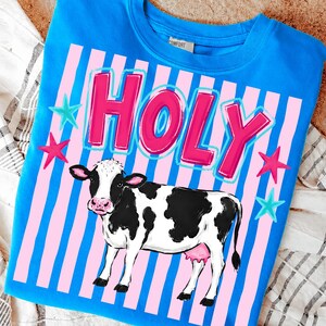 Puede incluir: Sudadera azul con un gr&aacute;fico de una vaca en blanco y negro. La palabra "HOLY" est&aacute; en letras rosas con un contorno blanco, sobre rayas rosas y azules. Estrellas rosas y turquesas est&aacute;n dispersas alrededor del texto.