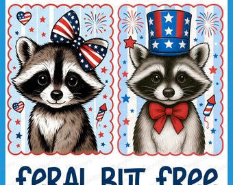 Mapache PNG del 4 de julio, Sublimación salvaje pero libre, Diseño de camiseta de animal patriótico, Sombrero de lazo con fuegos artificiales PNG, Lindo clipart de la Independencia de EE. UU.
