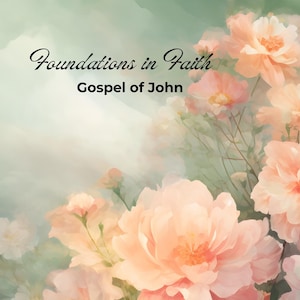 Bible Study - the Gospel of John