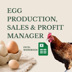 Försäljnings- och vinstchef för äggproduktion i Excel, kalkylblad för äggverksamhet, verktyg för kycklinguppfödare, försäljnings- och lagerchef för gårdsbestånd