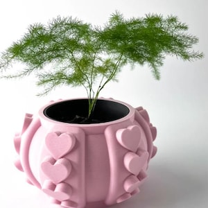 Minimalist Plant Pot – Scandinavian Style, Modern Boho Home Decor, Indoor Planter, 3D Printed - 3D Printed Planter - Plastic Pot