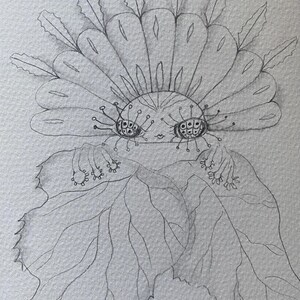 May include: A pencil sketch of a whimsical creature with a flower-like head and leaf-like body. The creature has large, detailed eyes and delicate antennae. The artwork is signed "NYNO. G. 2025."