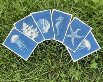 Juego de postales de cianotipia oceánica - Juego de impresiones de vida marina y sol hechas a mano en tamaño A6, arte costero minimalista.