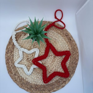 Può includere: Due decorazioni a forma di stella all'uncinetto, una bianca e una rossa, poggiano su un sottobicchiere intrecciato. Una piccola pianta succulenta verde in un vaso bianco è posizionata tra le stelle. La stella rossa ha un anello per appenderla.