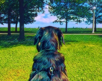 Un perro en el parque, rodeado de árboles, disfrutando de un día tranquilo al aire libre. ¡Naturaleza, alegría y aventura en un mismo momento!