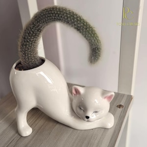 Porseleinen bloempot voor katten | Speelse kattenvaas succulente pot schattige dierenplanter cadeau voor kattenliefhebbers Perfecte woondecoratie