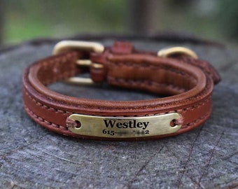 Padded Leather Dog Collar with Etched ID Tag - size XS - Silver or Gold - 100+ Leather Color combinations available - Ask for other sizes!