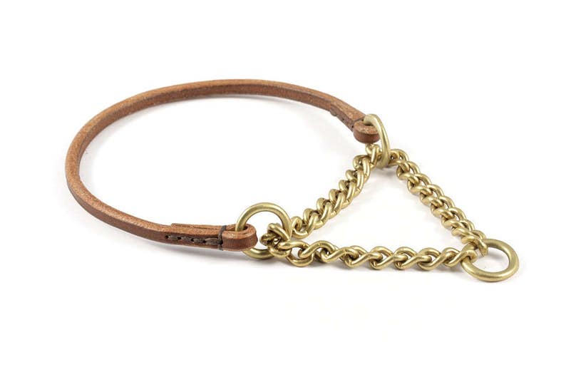 Show Dog Leather Collar With Martingale Size XS Etsy