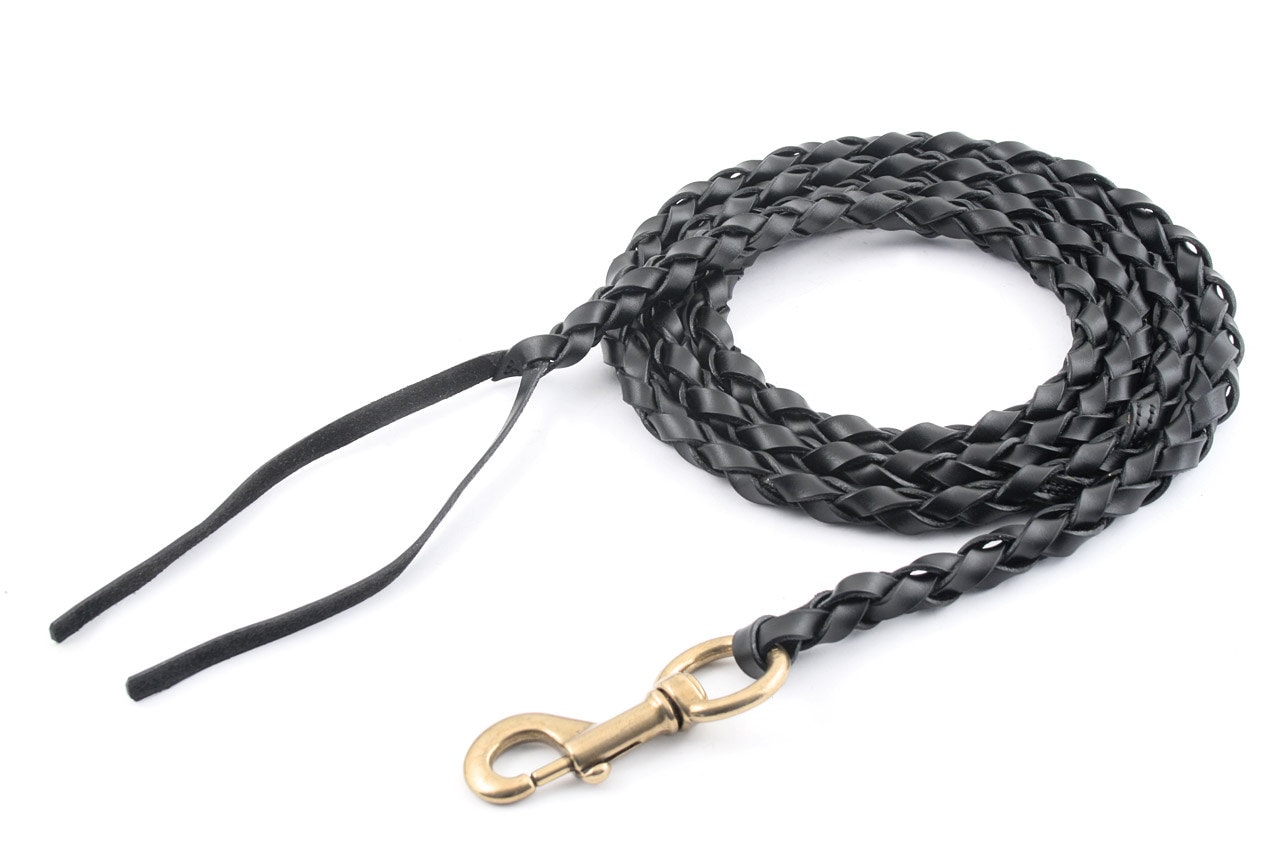 Braided Leather Horse Lead Etsy