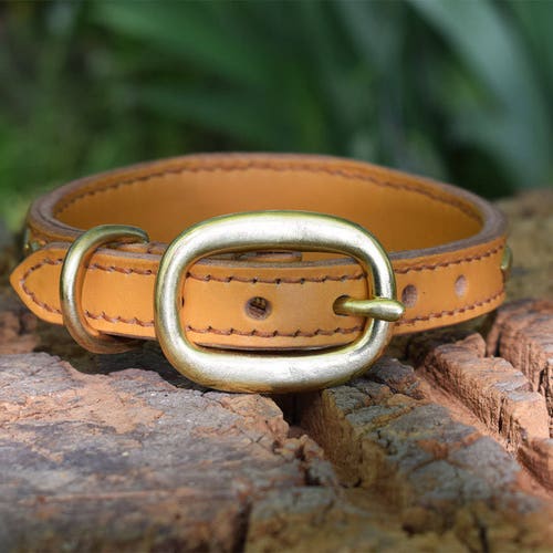 Studded hotsell Leather Dog Wide Collar with Diamond Brass Studs - size S