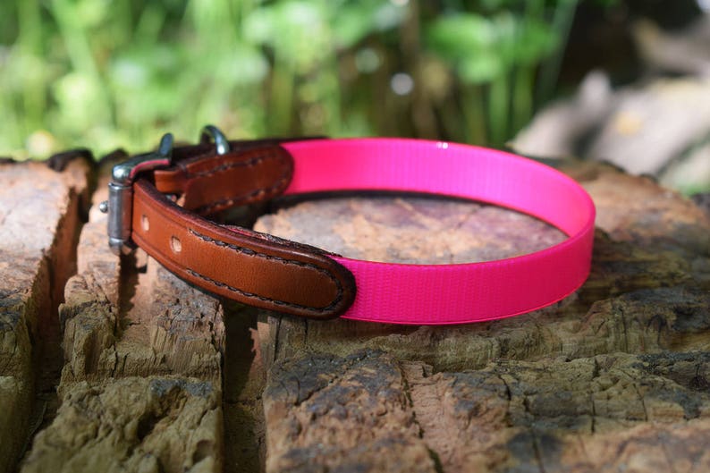size S Pink Biothane /& Leather Dog Collar
