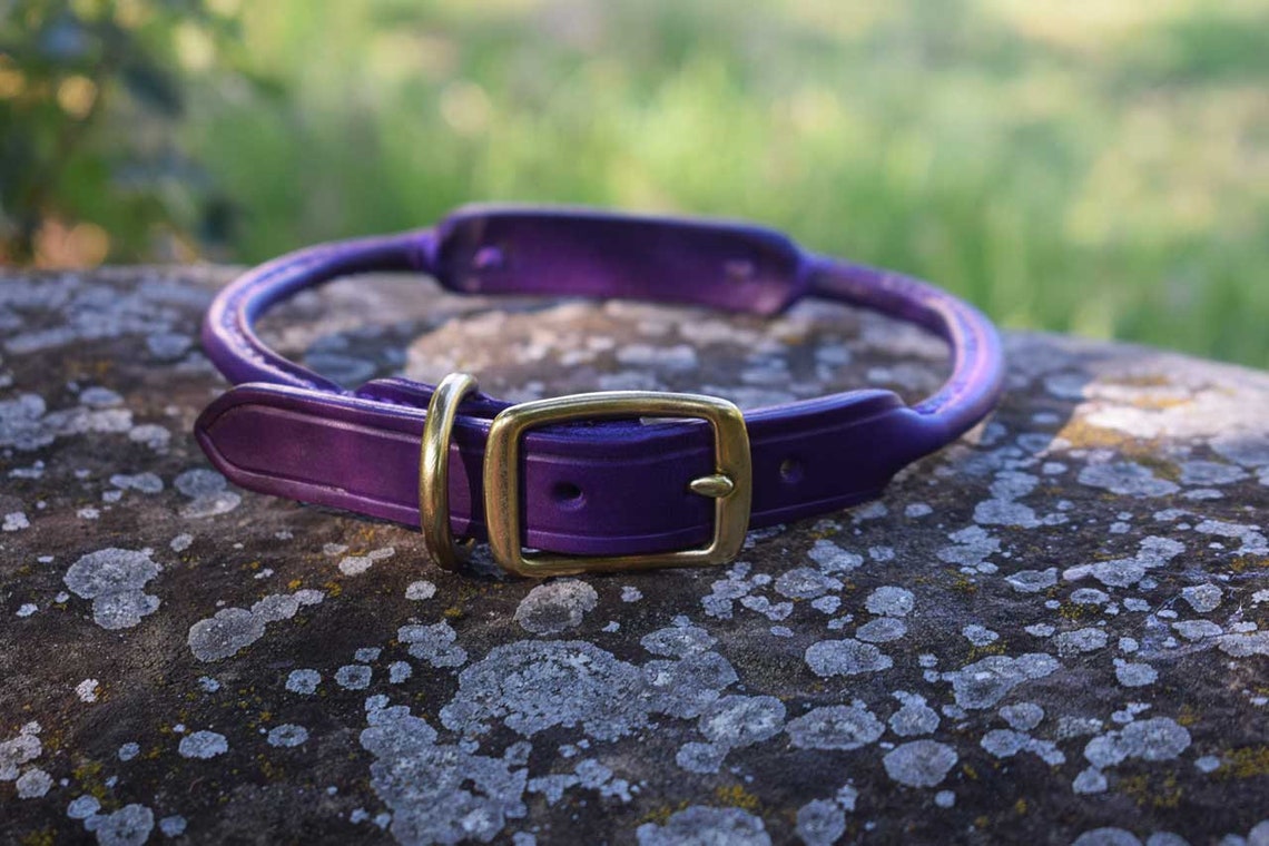 Rolled Leather Dog Collar With Custom Etched Name Tag Size M Etsy