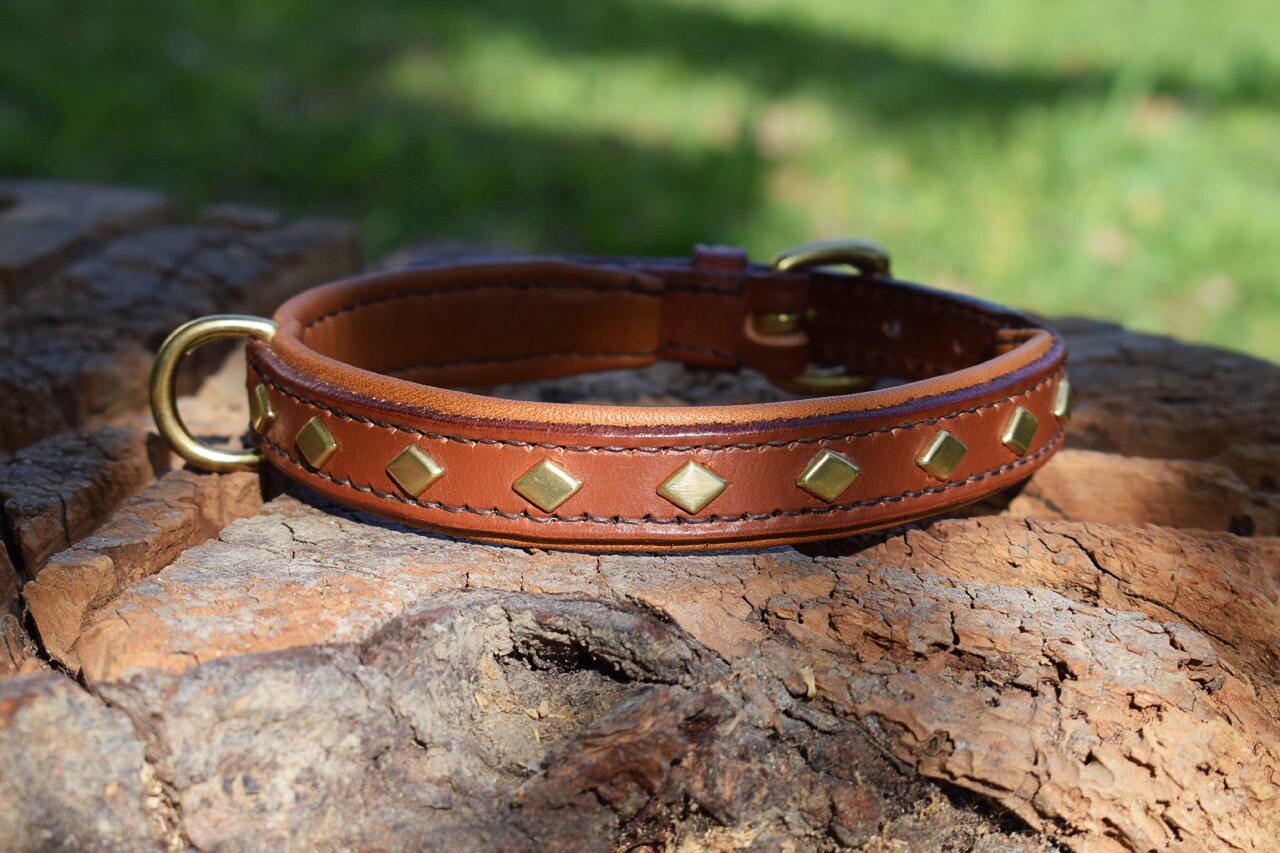 diamond studded dog collar