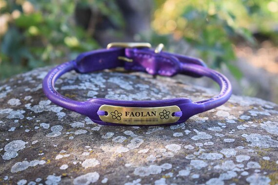 rolled leather dog collar with nameplate